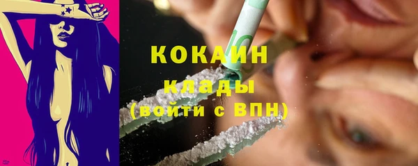 кокс Дмитровск