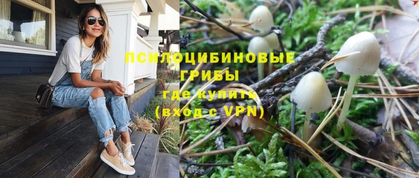 спайс Дмитров
