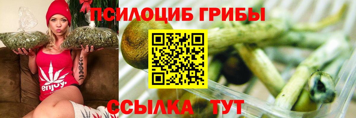 наркотики  Вход с VPN  Калининград  Галлюциногенные грибы Psilocybe  Галлюциногенные грибы прущие грибы 